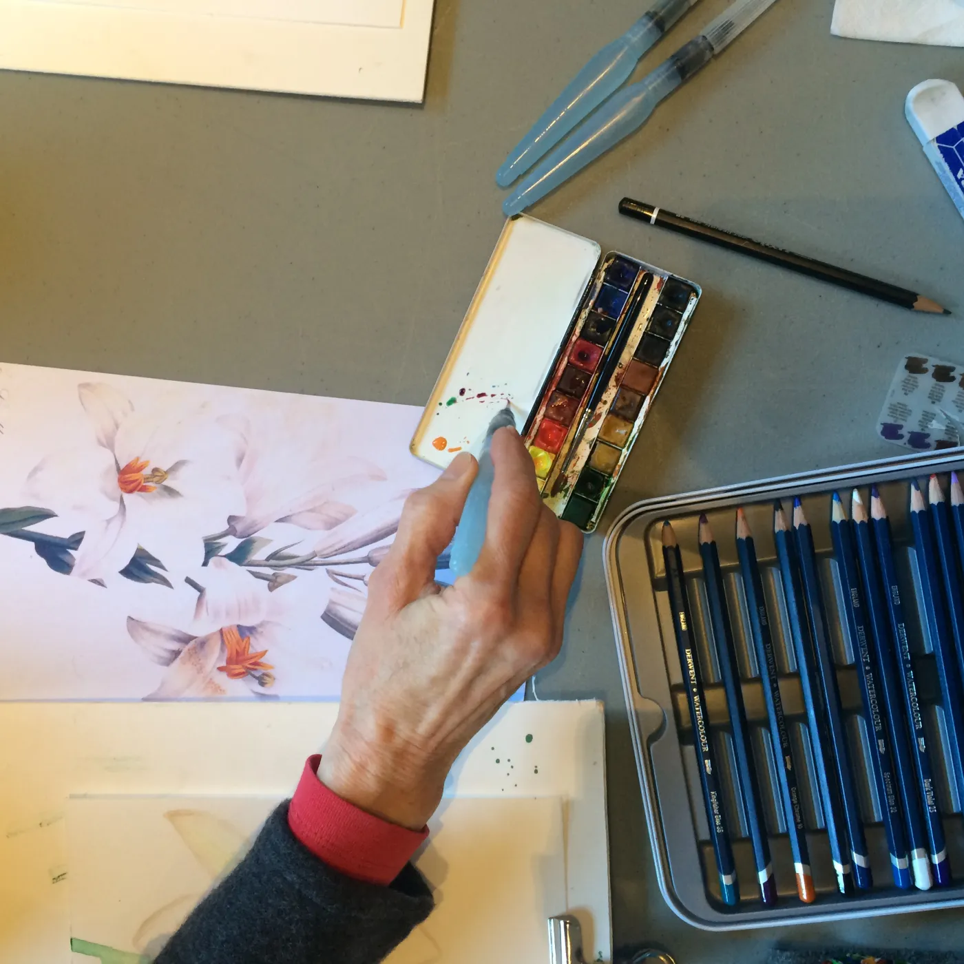 Atelier aquarelle - Collections
